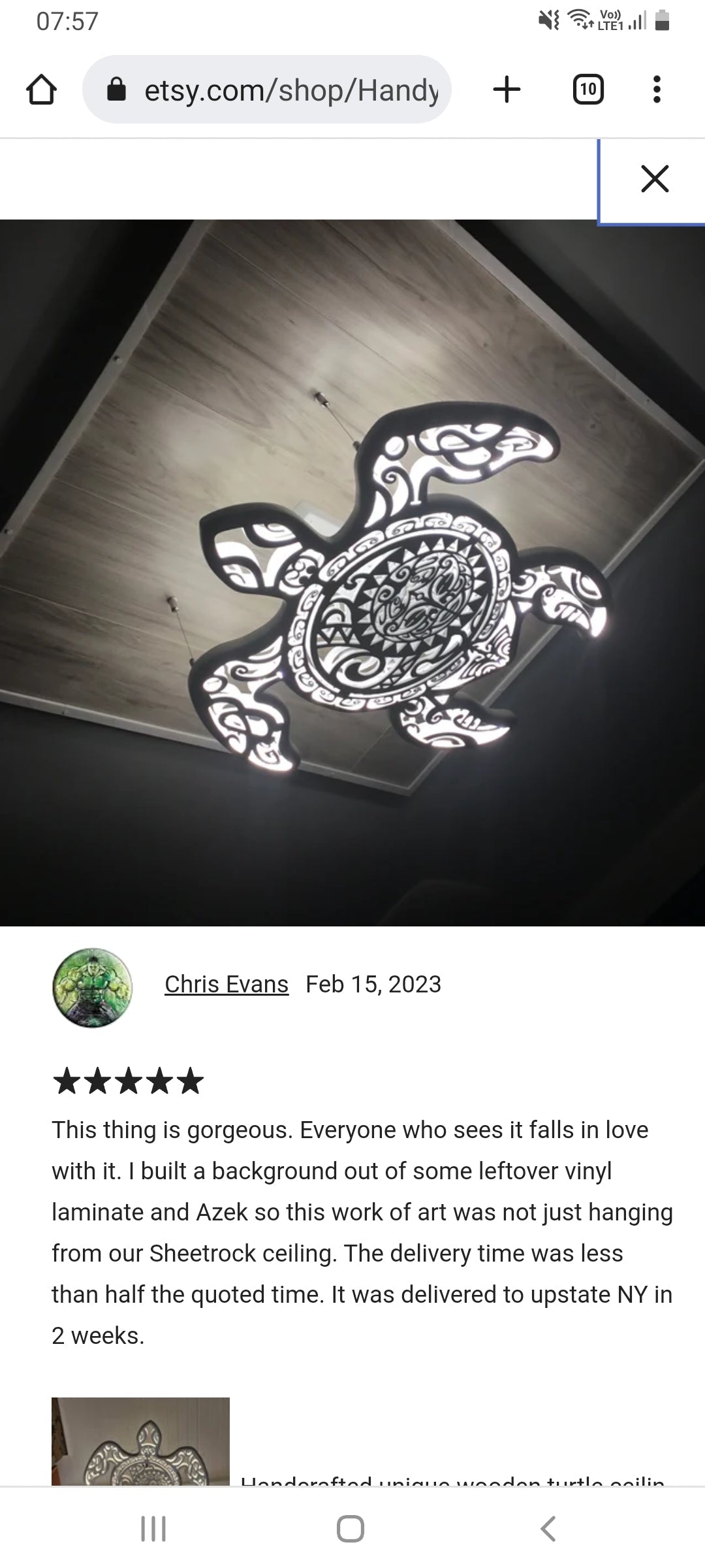 Unique Blue pattern Turtle and manta ray Ceiling Chandeliers: LED Wall Lamp in Maori Surf Style